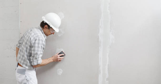 Best Mold Documentation for Insurance Claims  in Wilkinson Heights, SC
