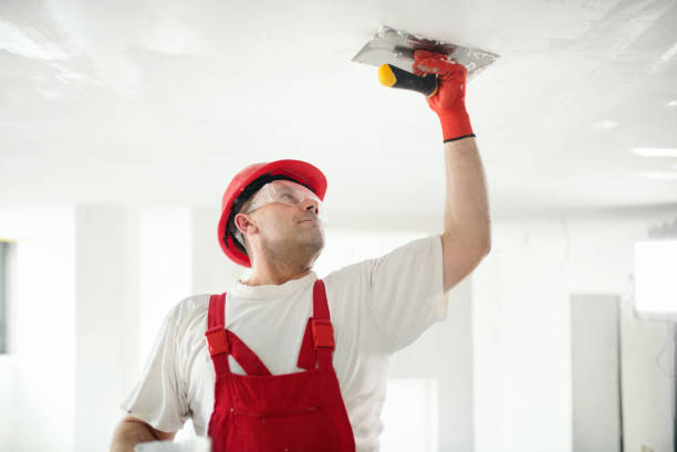 Best Mold Damage Restoration  in Wilkinson Heights, SC