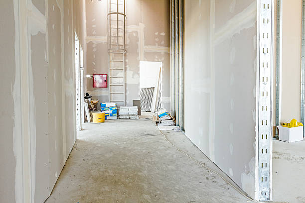 Forensic Mold Investigation in Wilkinson Heights, SC