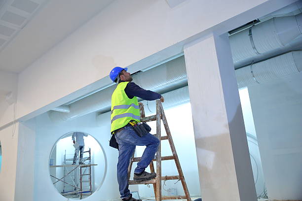 Best Emergency Mold Remediation  in Wilkinson Heights, SC