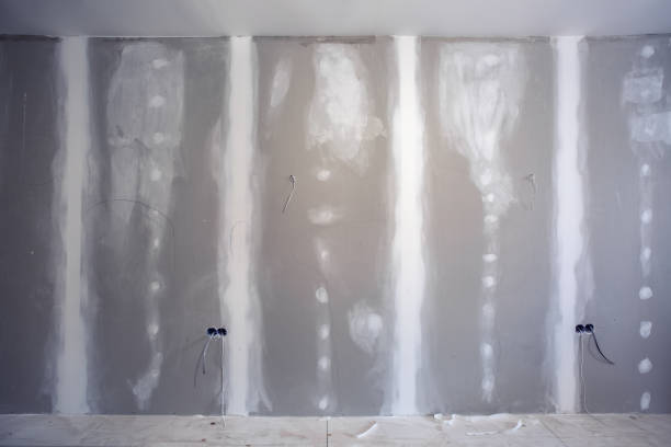 Trusted Wilkinson Heights, SC Mold Removal Experts